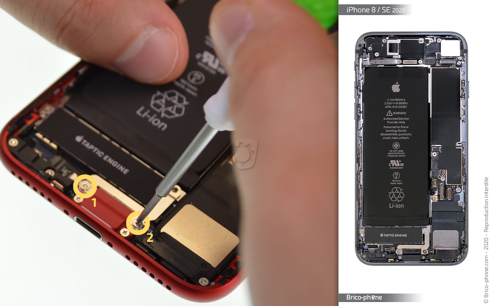 Démontage complet sur iPhone SE 2020 photo 2