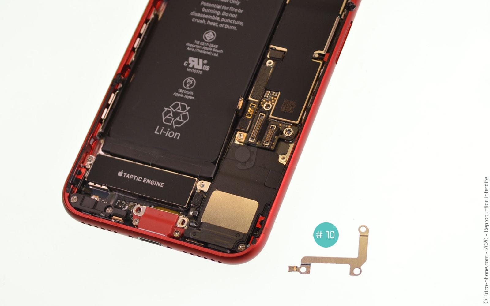 Démontage complet sur iPhone SE 2020 photo 4