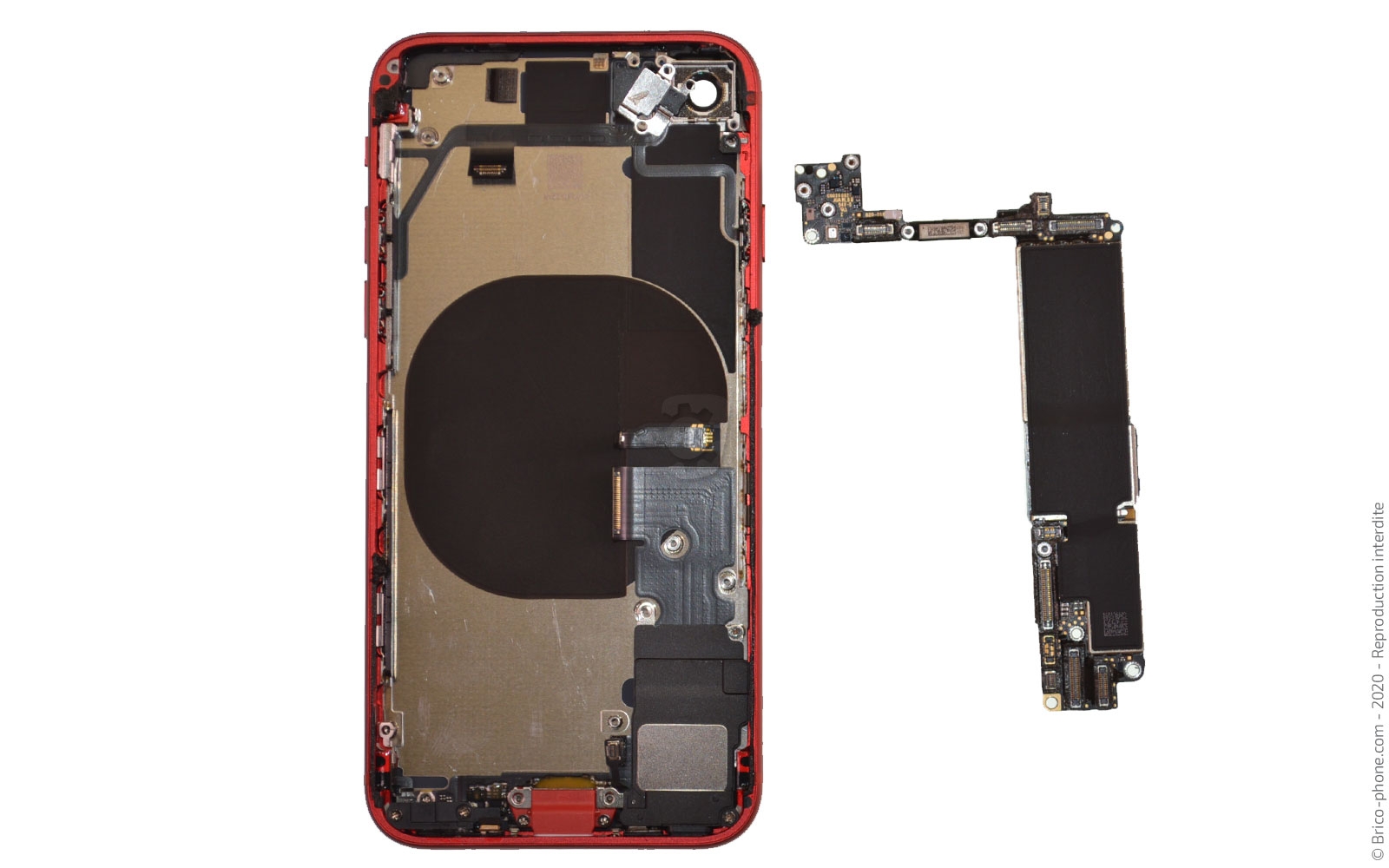 Démontage complet sur iPhone SE 2020 photo 4