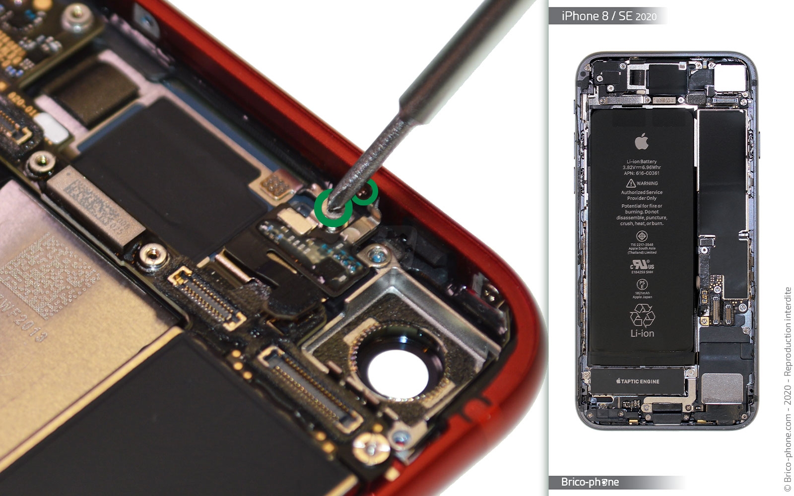 Démontage complet sur iPhone SE 2020 photo 2