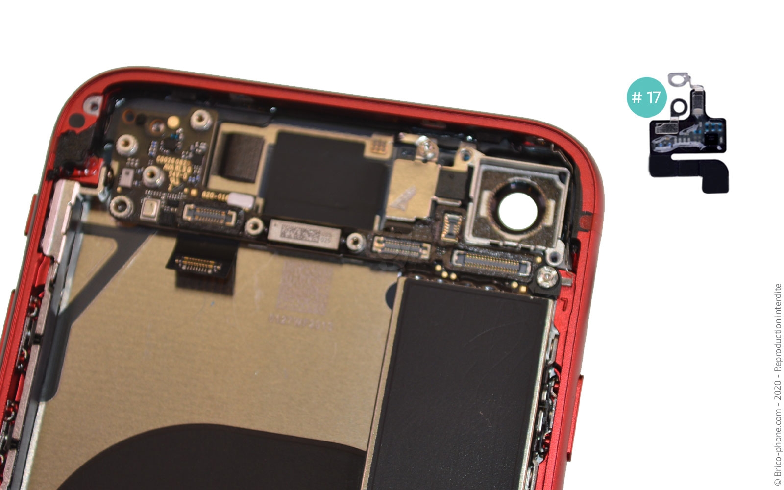 Démontage complet sur iPhone SE 2020 photo 4