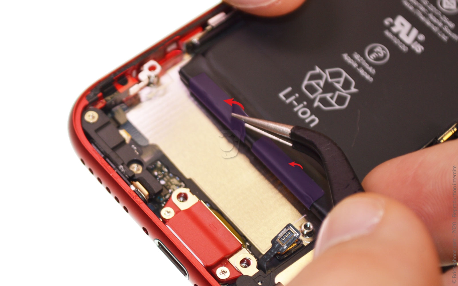 Démontage complet sur iPhone SE 2020 photo 1