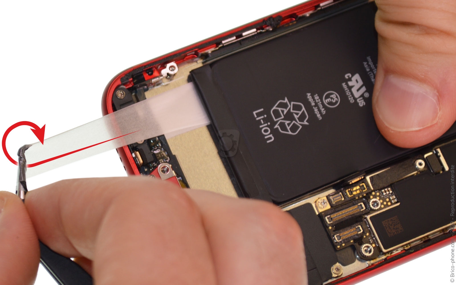 Démontage complet sur iPhone SE 2020 photo 2