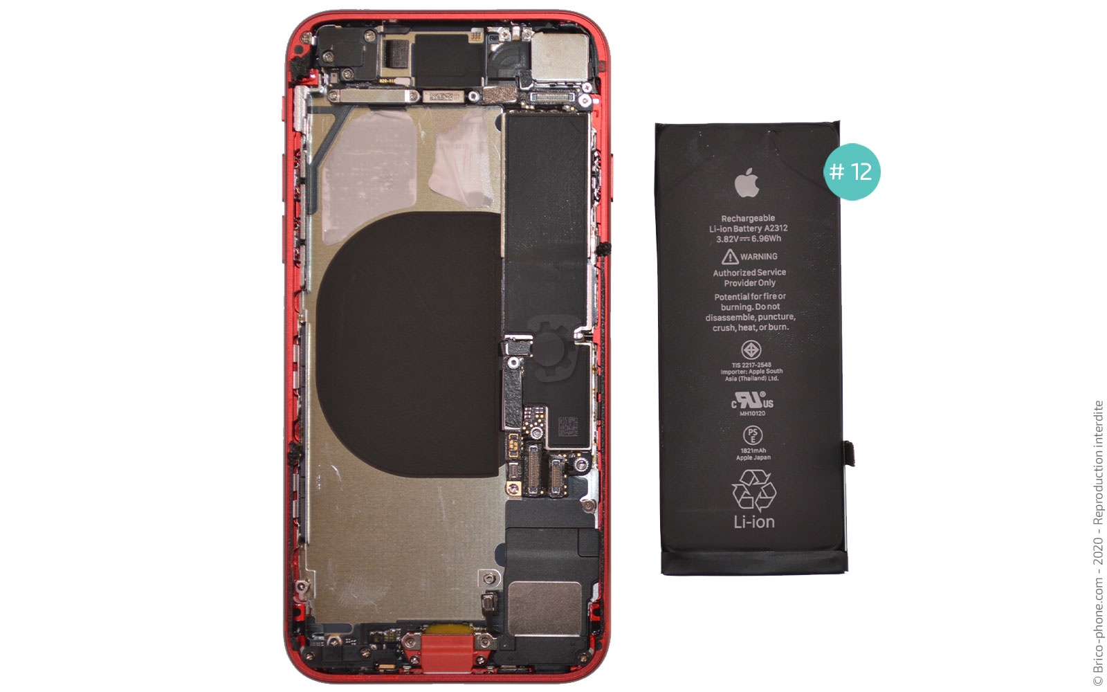 Démontage complet sur iPhone SE 2020 photo 4