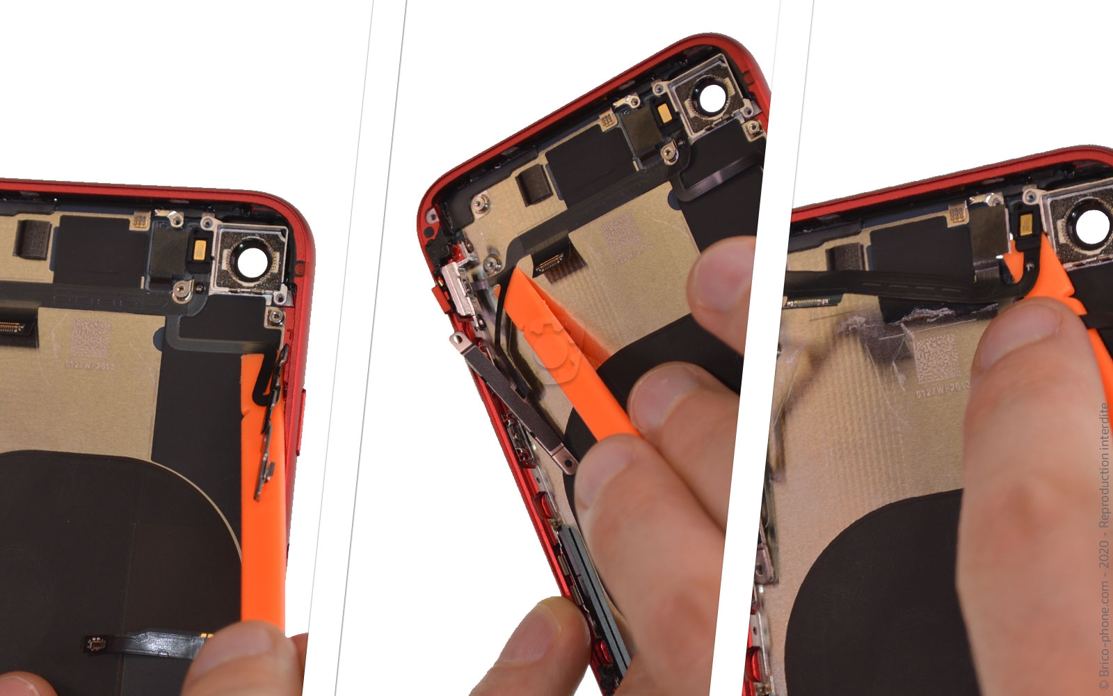 Démontage complet sur iPhone SE 2020 photo 3