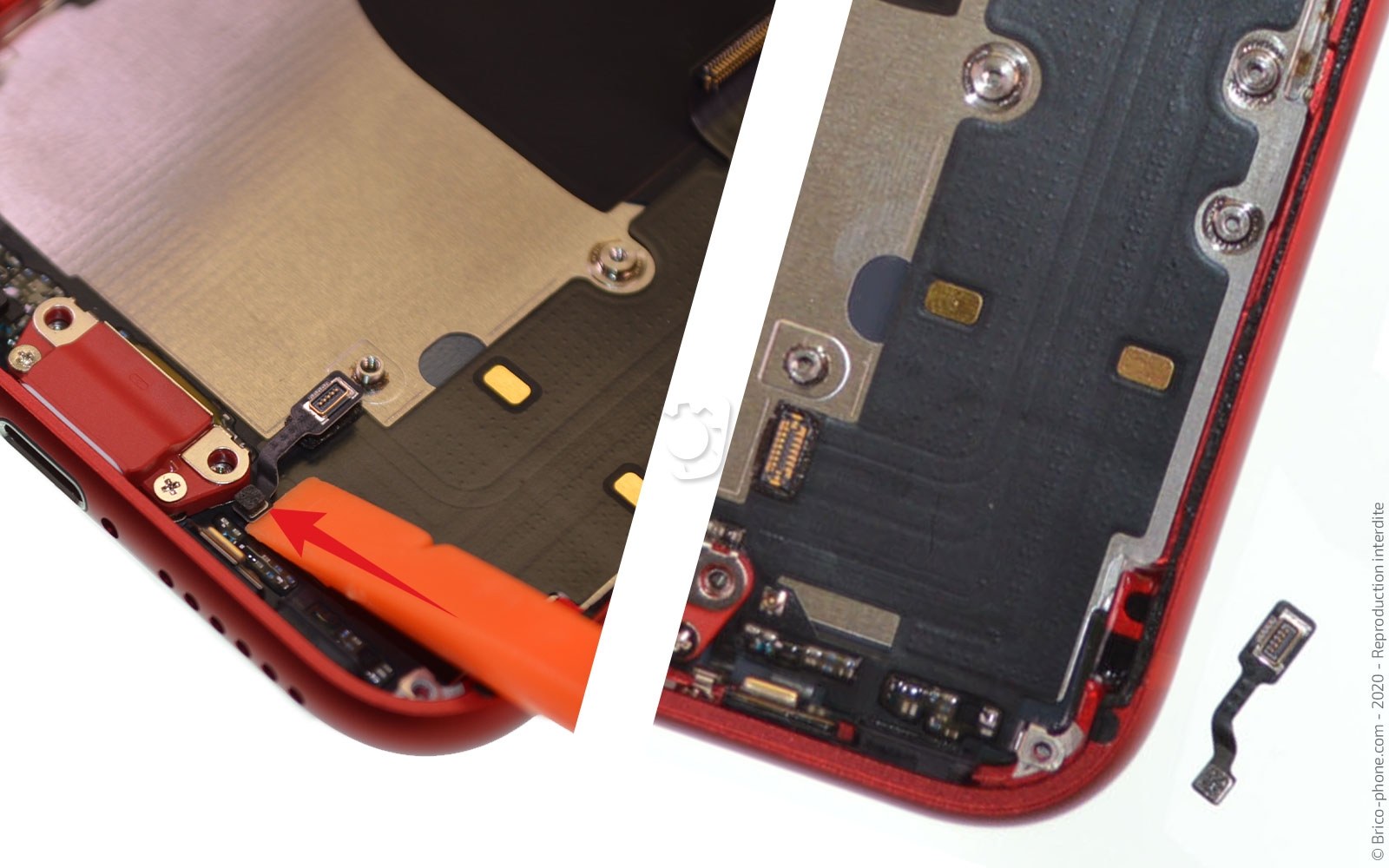 Démontage complet sur iPhone SE 2020 photo 1