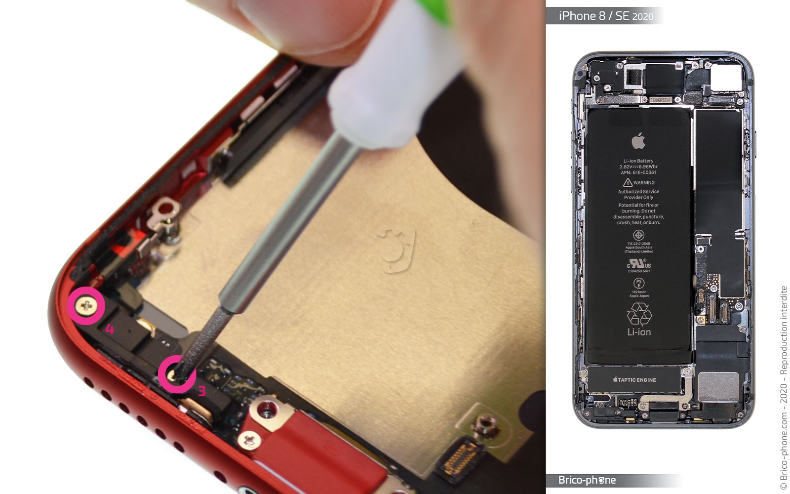 Démontage complet sur iPhone SE 2020 photo 2