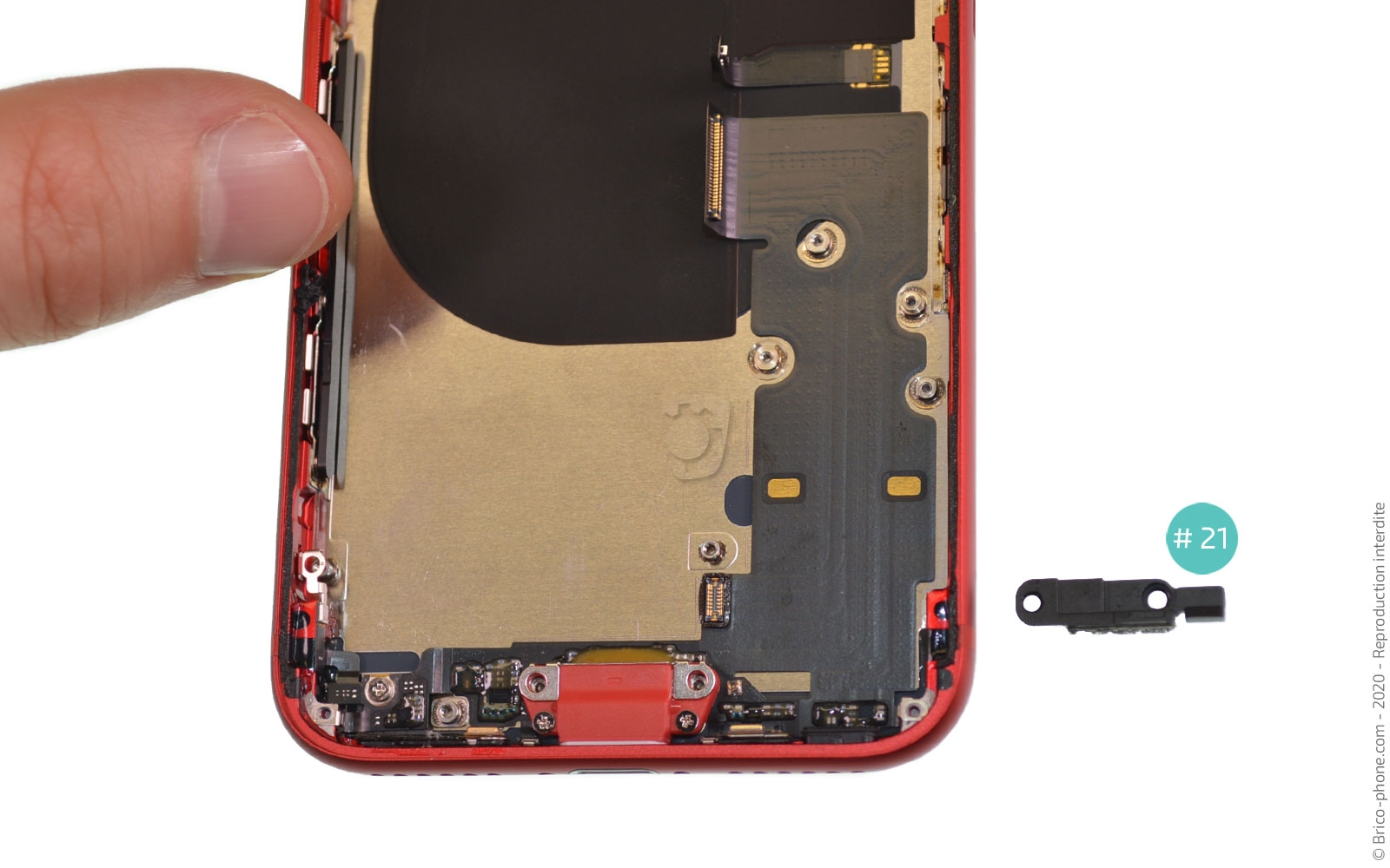 Démontage complet sur iPhone SE 2020 photo 4