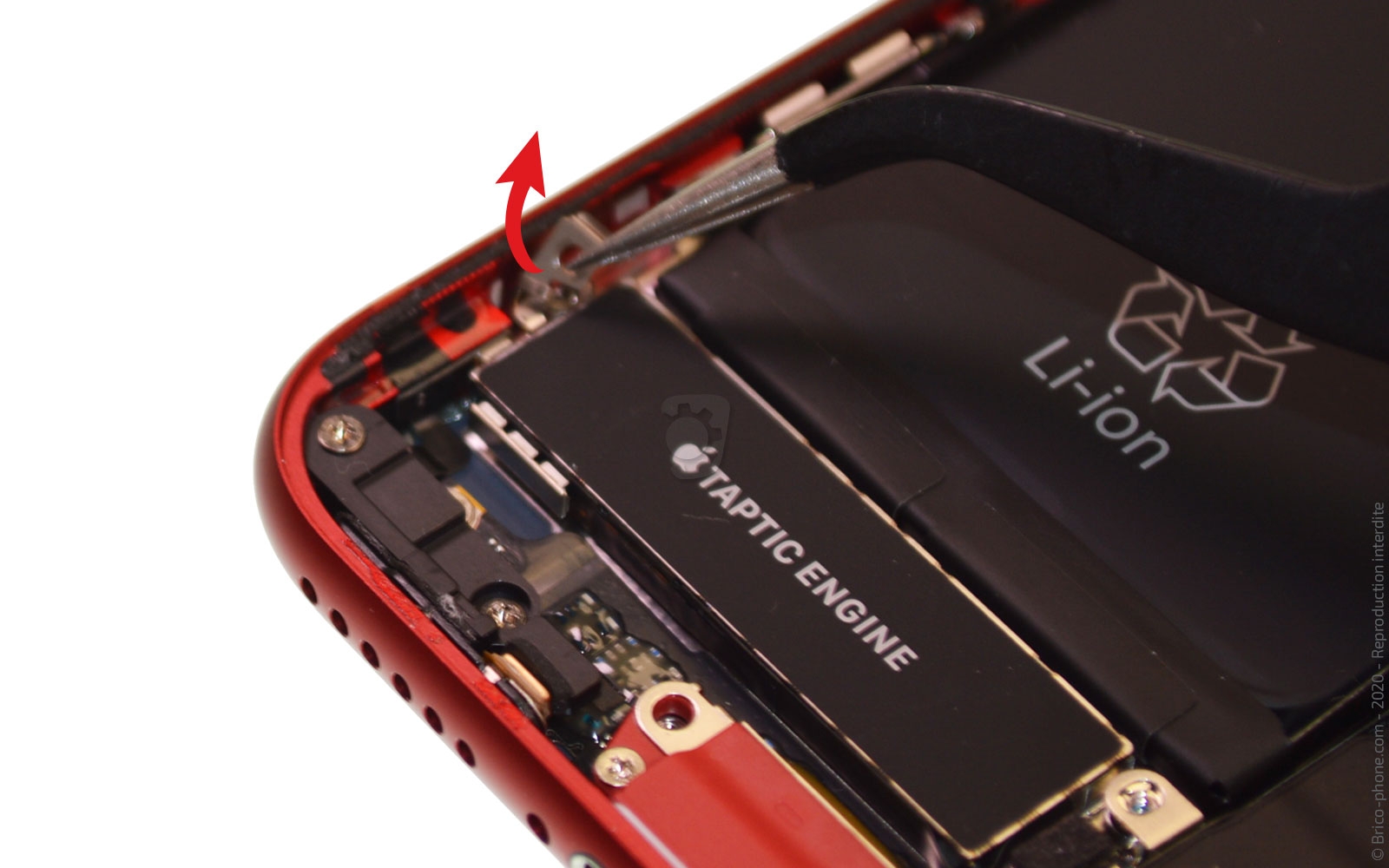 Démontage complet sur iPhone SE 2020 photo 2