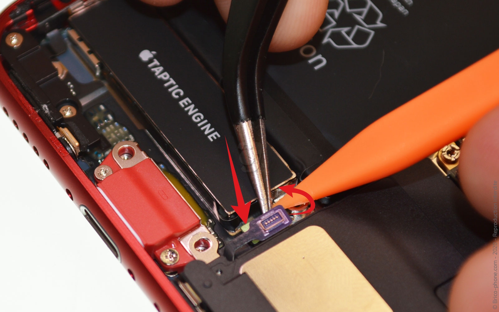 Démontage complet sur iPhone SE 2020 photo 3