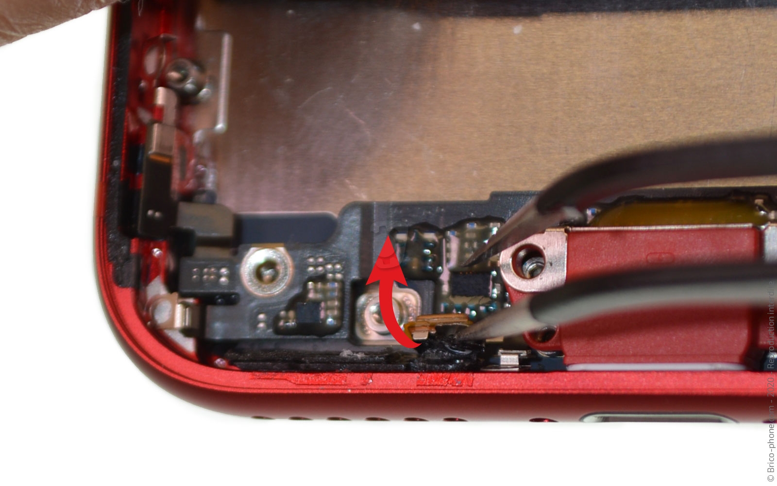 Démontage complet sur iPhone SE 2020 photo 2