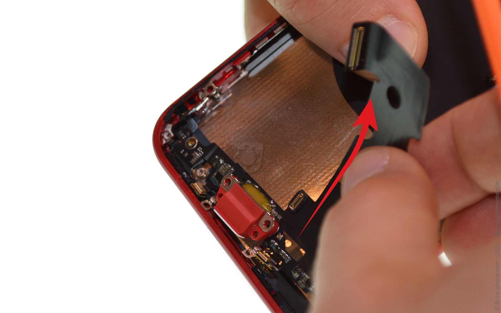 Démontage complet sur iPhone SE 2020 photo 3