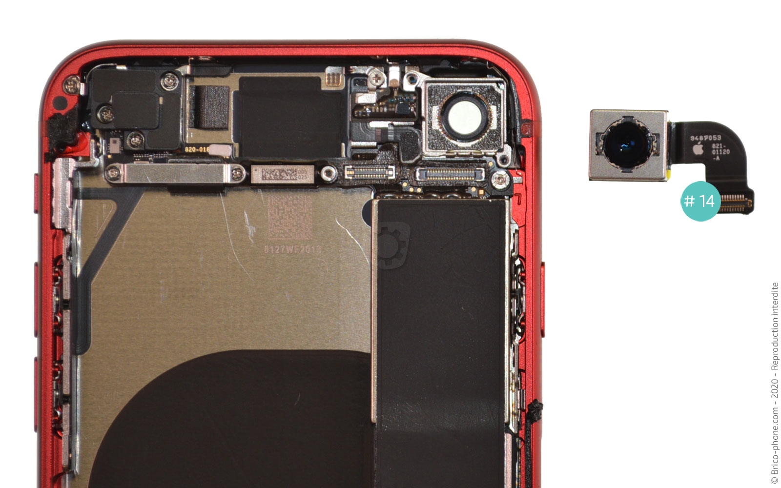 Démontage complet sur iPhone SE 2020 photo 4