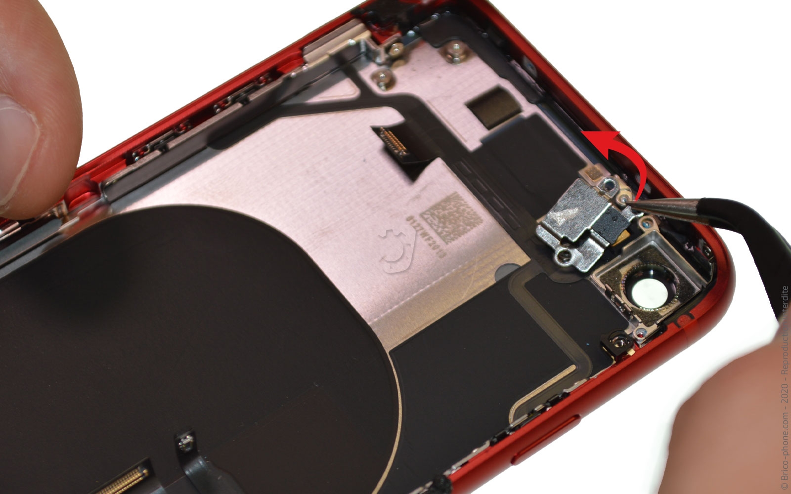 Démontage complet sur iPhone SE 2020 photo 1