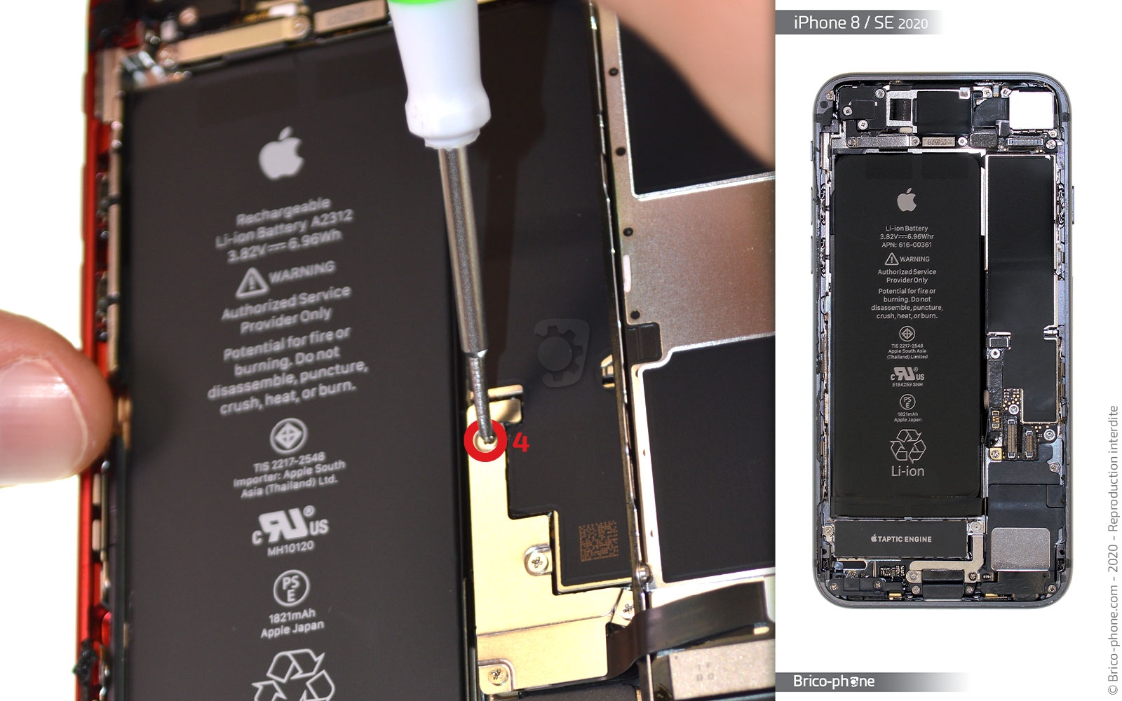 Remplacer l'écran (vitre et LCD)  sur iPhone SE 2020 photo 2