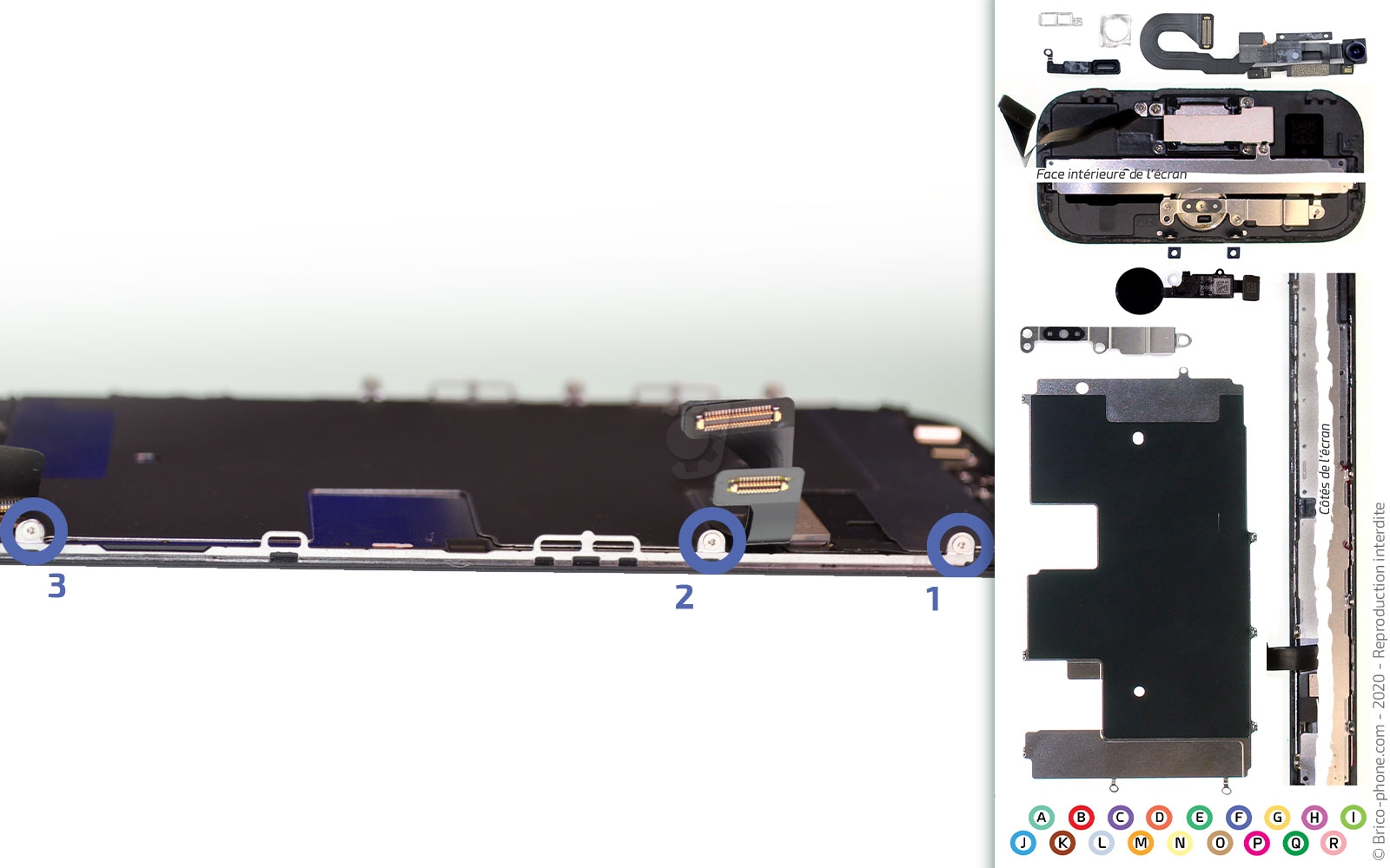 Remplacer l'écran (vitre et LCD)  sur iPhone SE 2020 photo 1
