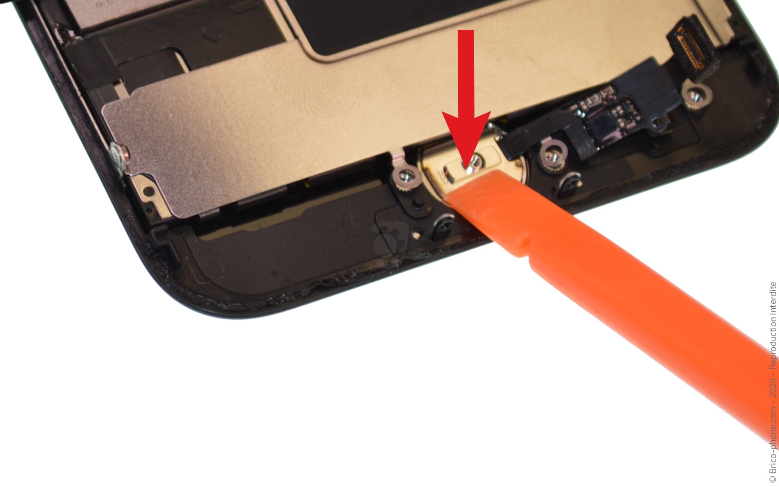 Remplacer l'écran (vitre et LCD)  sur iPhone SE 2020 photo 4