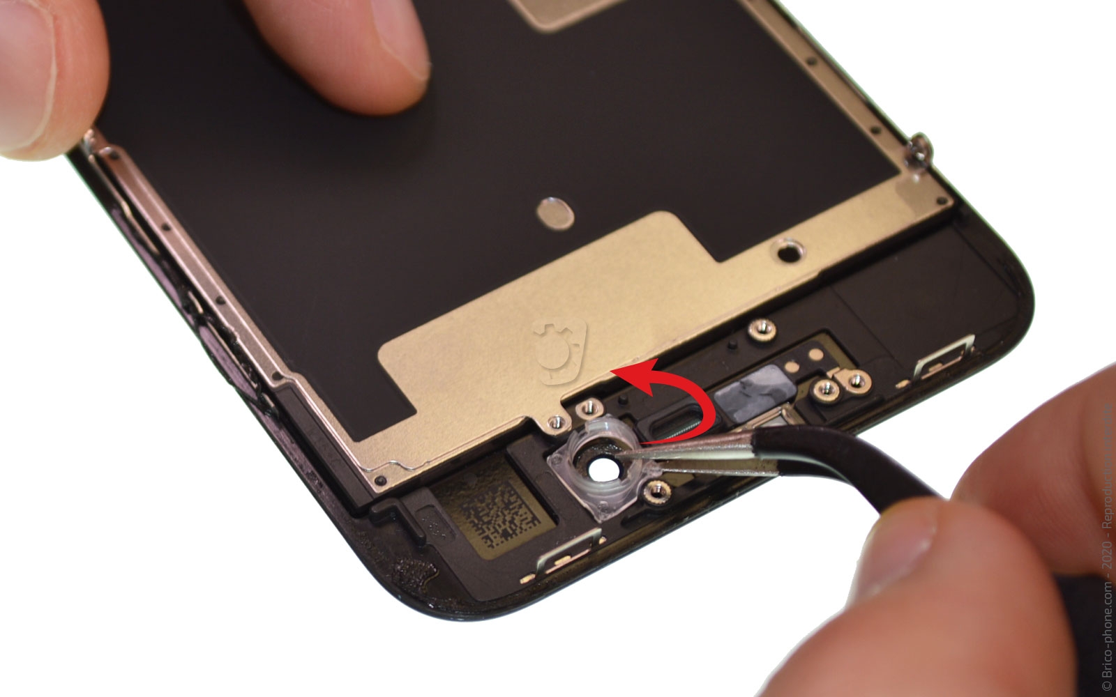 Remplacer l'écran (vitre et LCD)  sur iPhone SE 2020 photo 2