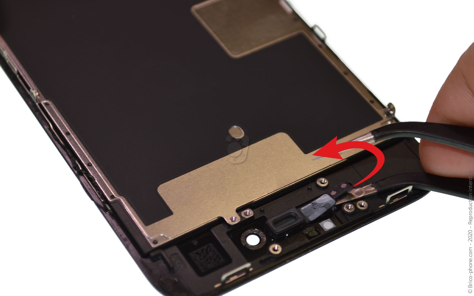 Remplacer l'écran (vitre et LCD)  sur iPhone SE 2020 photo 4
