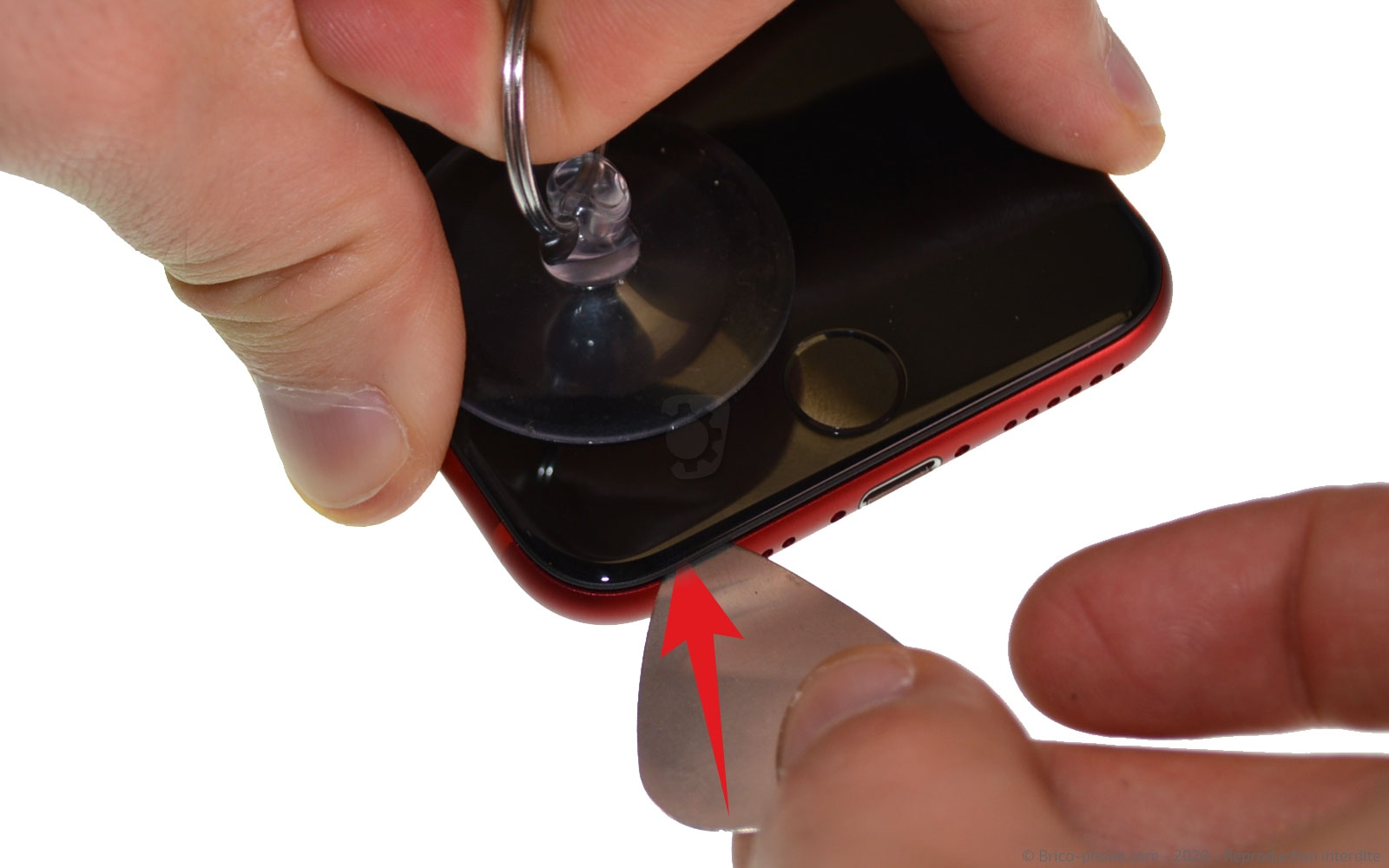 Remplacer la batterie  sur iPhone SE 2020 photo 2