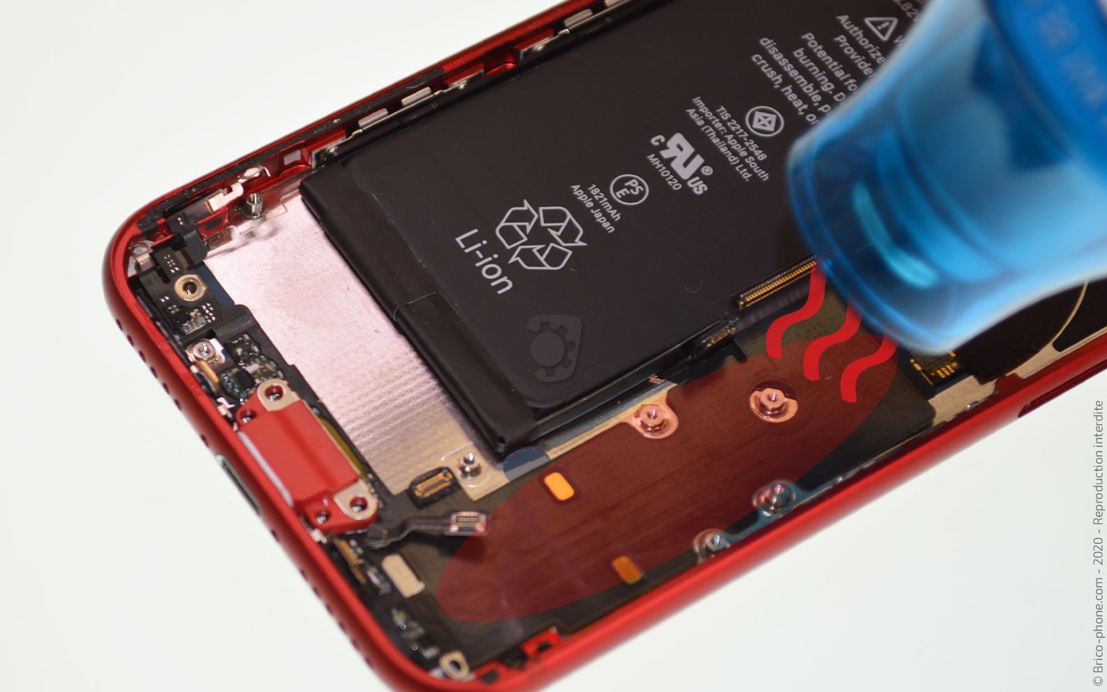 Remplacer le connecteur de charge  sur iPhone SE 2020 photo 1