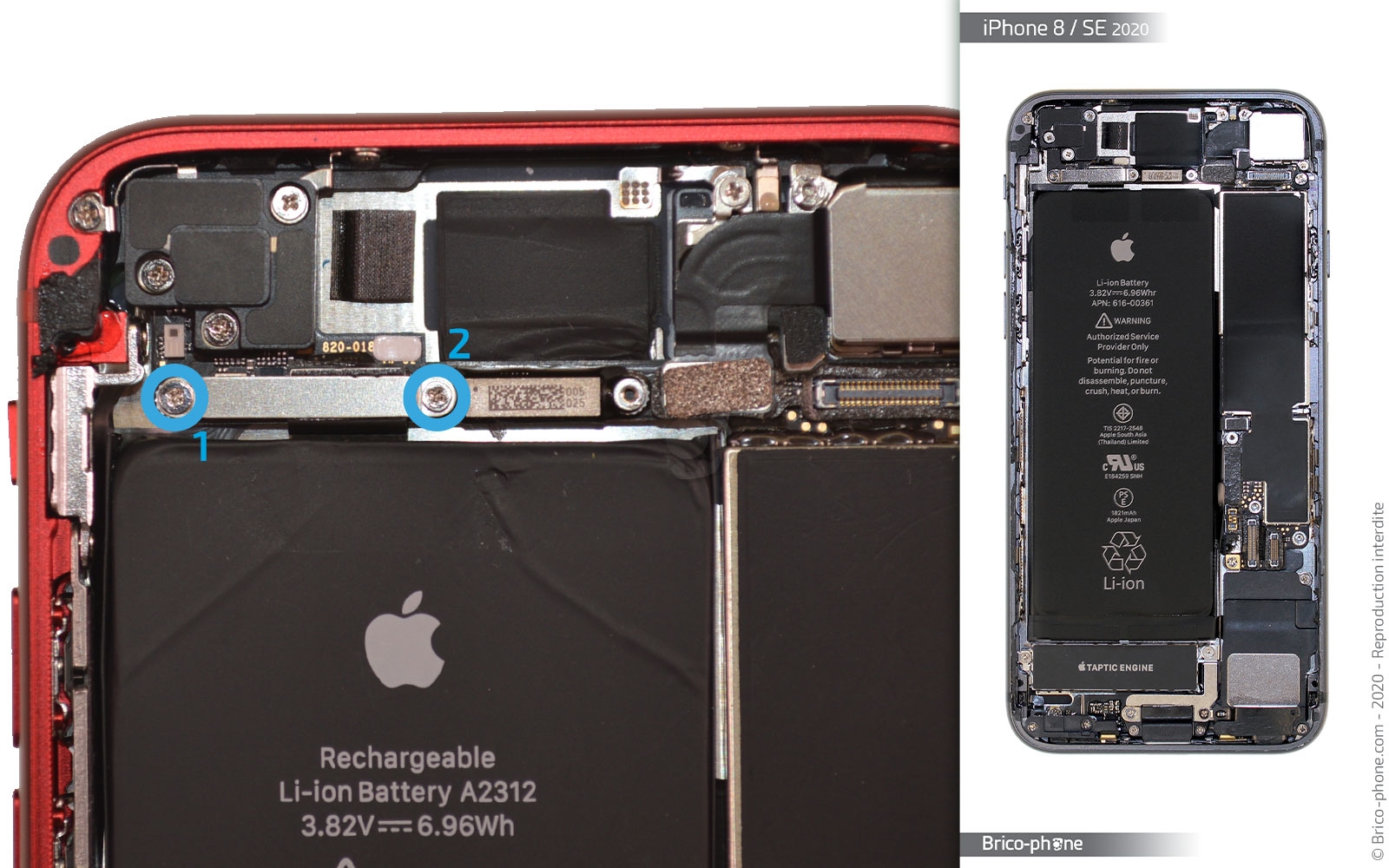 Remplacer le connecteur de charge  sur iPhone SE 2020 photo 1