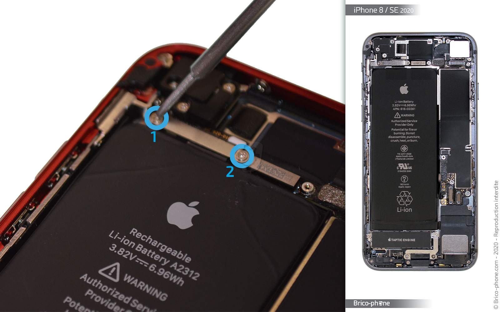 Remplacer le connecteur de charge  sur iPhone SE 2020 photo 2