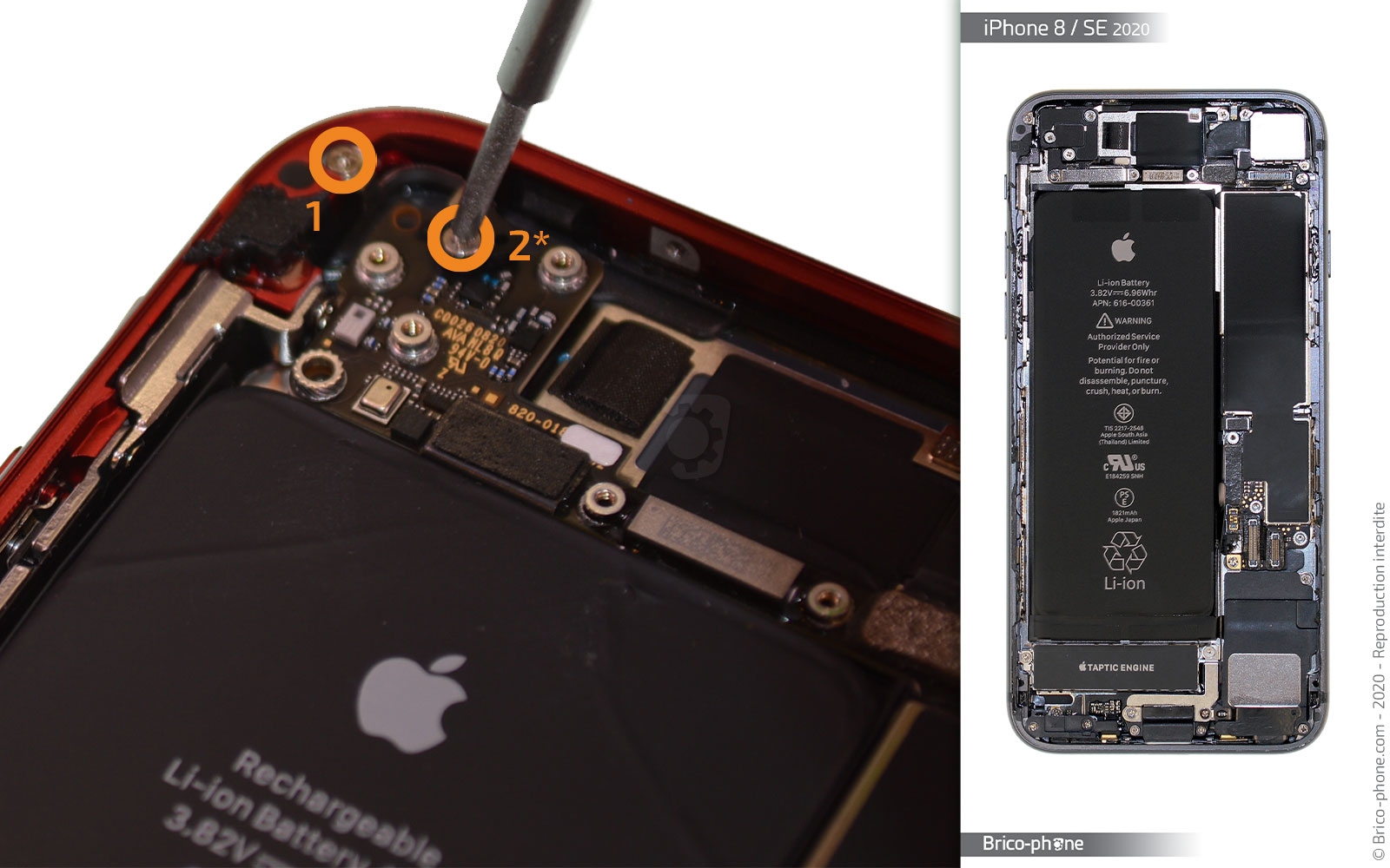 Remplacer le connecteur de charge  sur iPhone SE 2020 photo 3