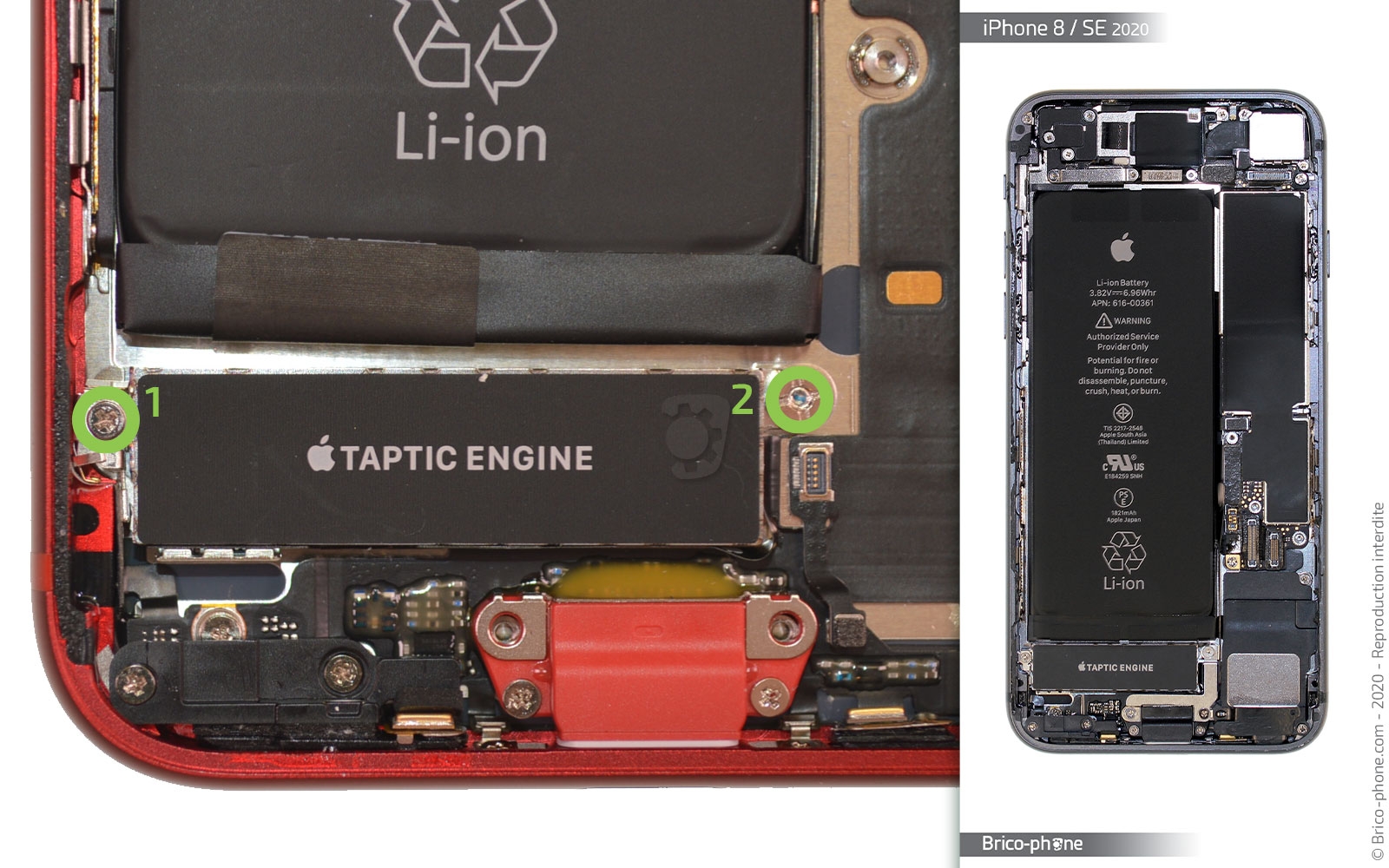 Remplacer le connecteur de charge  sur iPhone SE 2020 photo 1