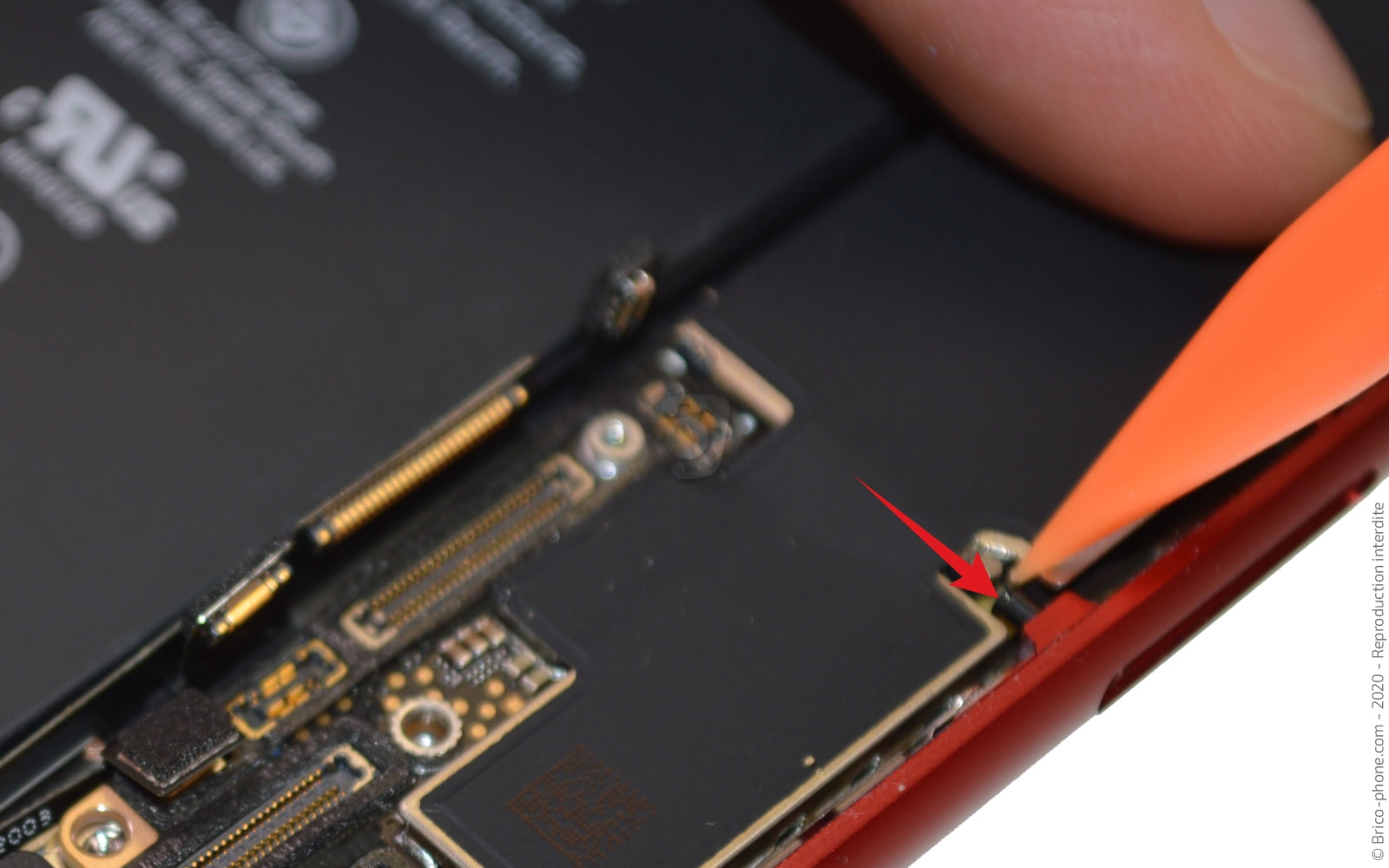 Remplacer le connecteur de charge  sur iPhone SE 2020 photo 1