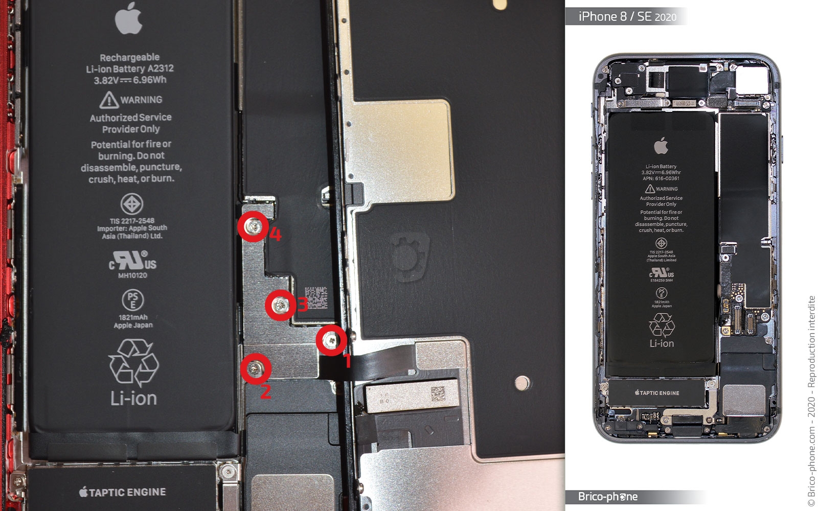 Remplacer le connecteur de charge  sur iPhone SE 2020 photo 1