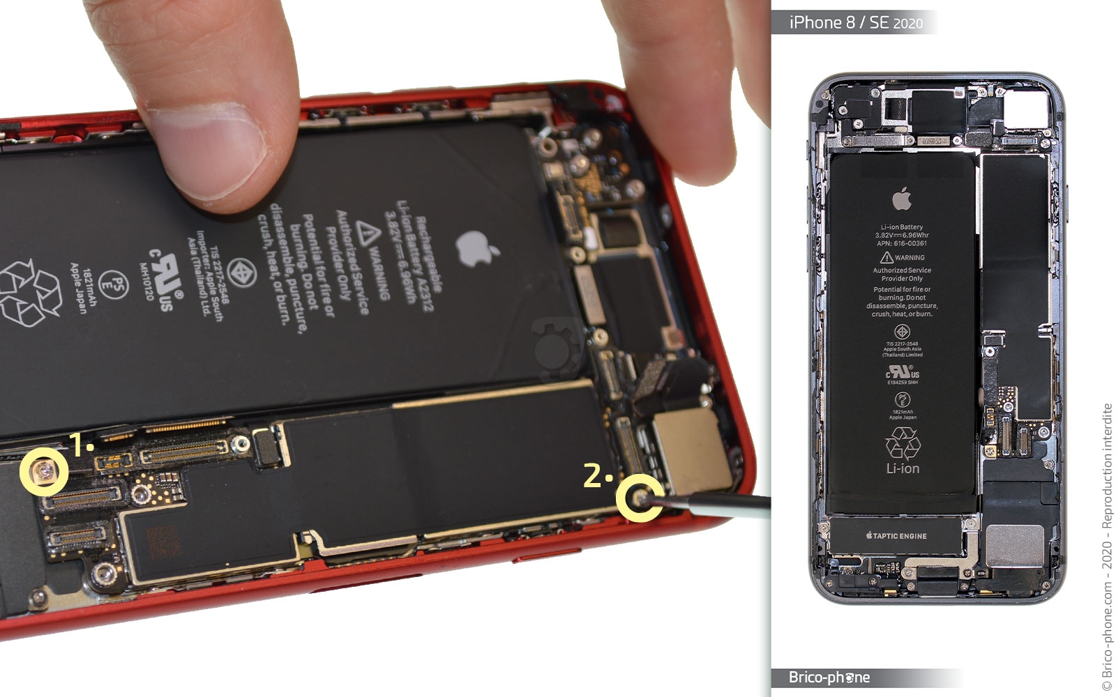 Changement du haut-parleur externe sur iPhone SE 2020 photo 3