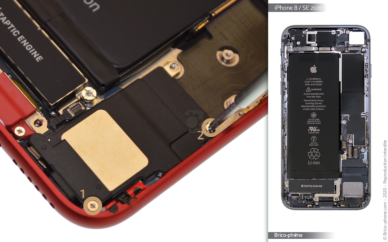 Changement du haut-parleur externe sur iPhone SE 2020 photo 1