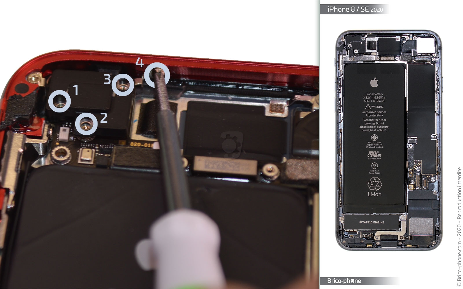 Changement du haut-parleur externe sur iPhone SE 2020 photo 1