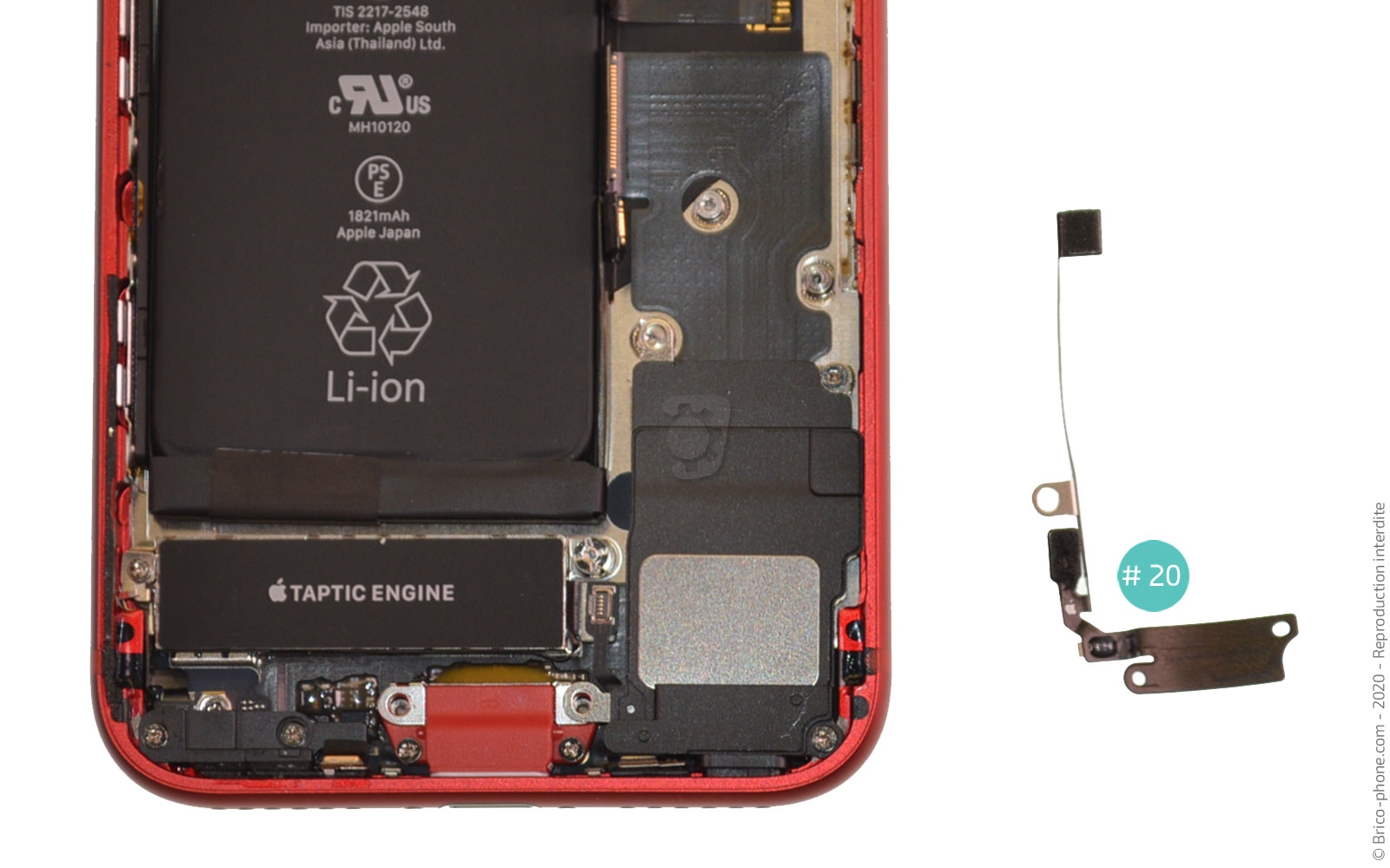 Changement du haut-parleur externe sur iPhone SE 2020 photo 3