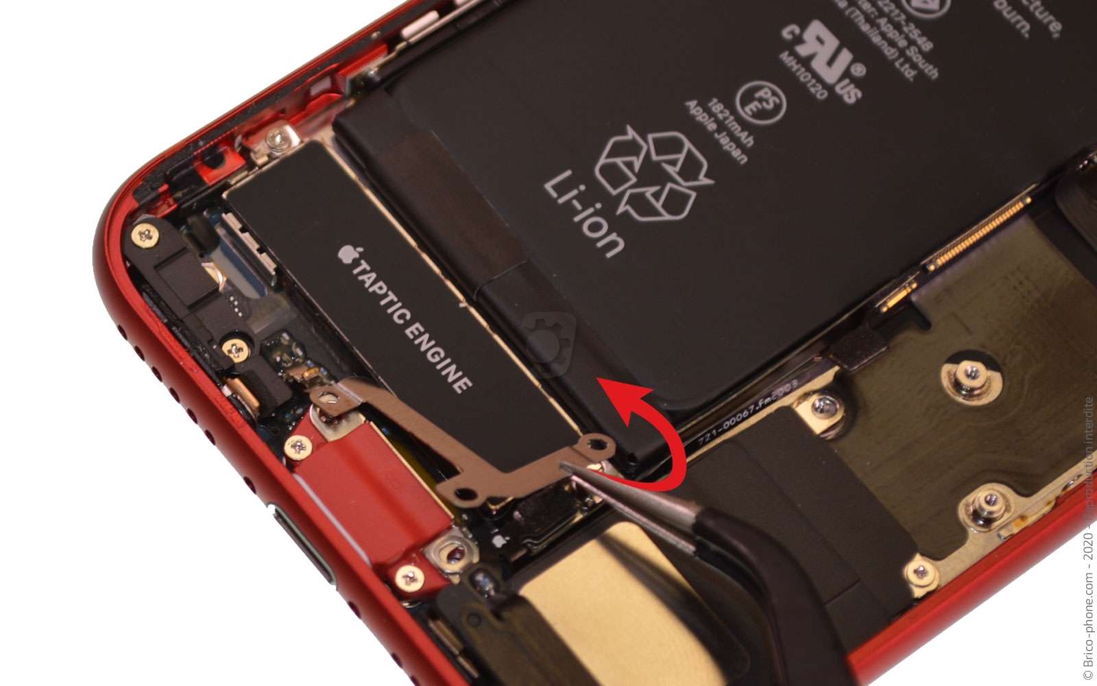 Changement du haut-parleur externe sur iPhone SE 2020 photo 2