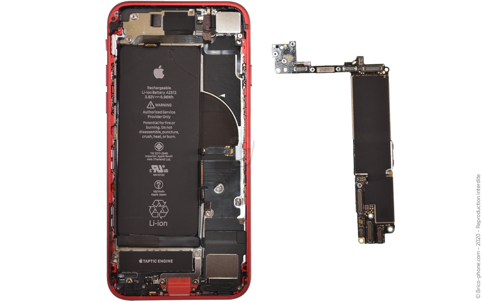 Changement du haut-parleur externe sur iPhone SE 2020 photo 3