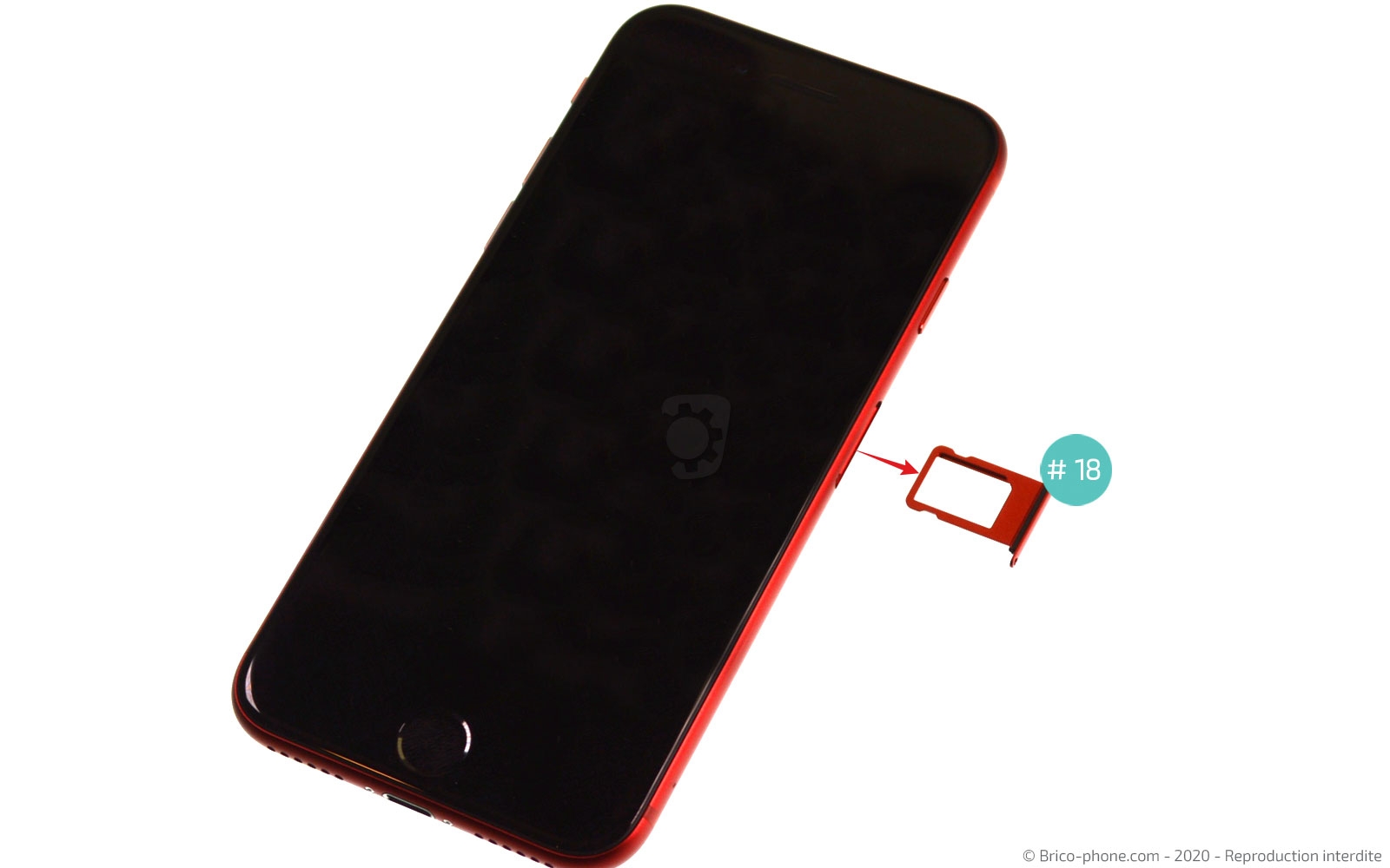 Changement du haut-parleur externe sur iPhone SE 2020 photo 3