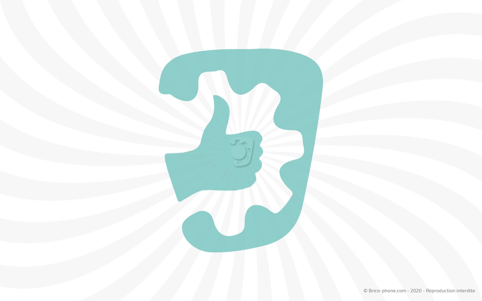 Changement du connecteur de charge sur Y5 2019 photo 1