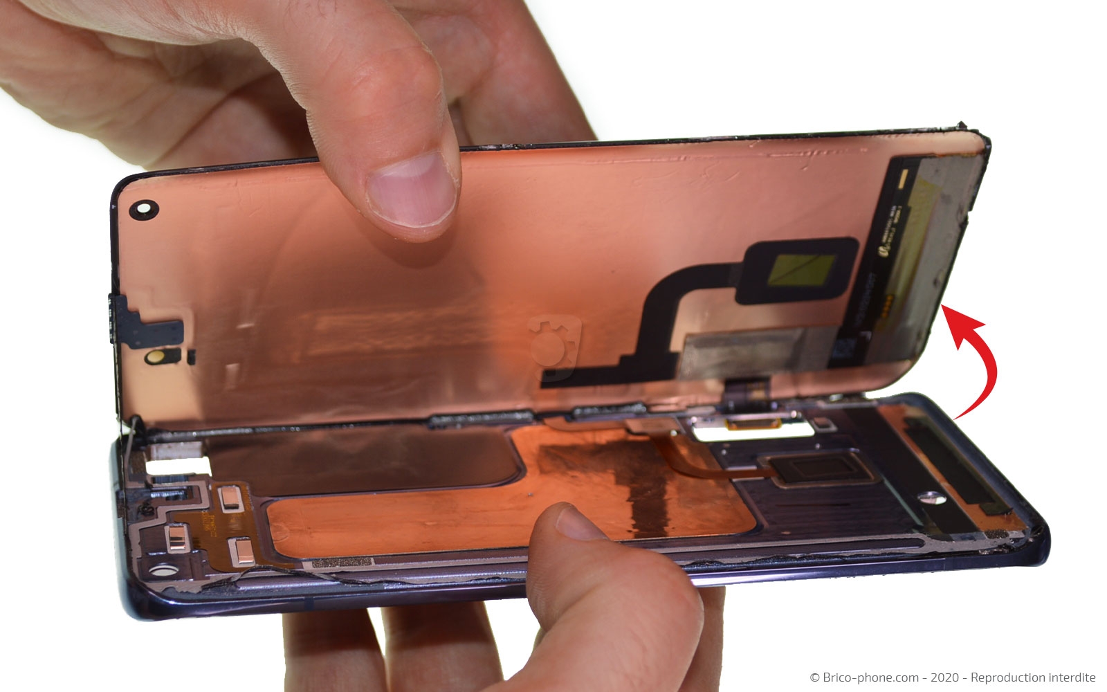 Démontage complet sur Mi 10 photo 4