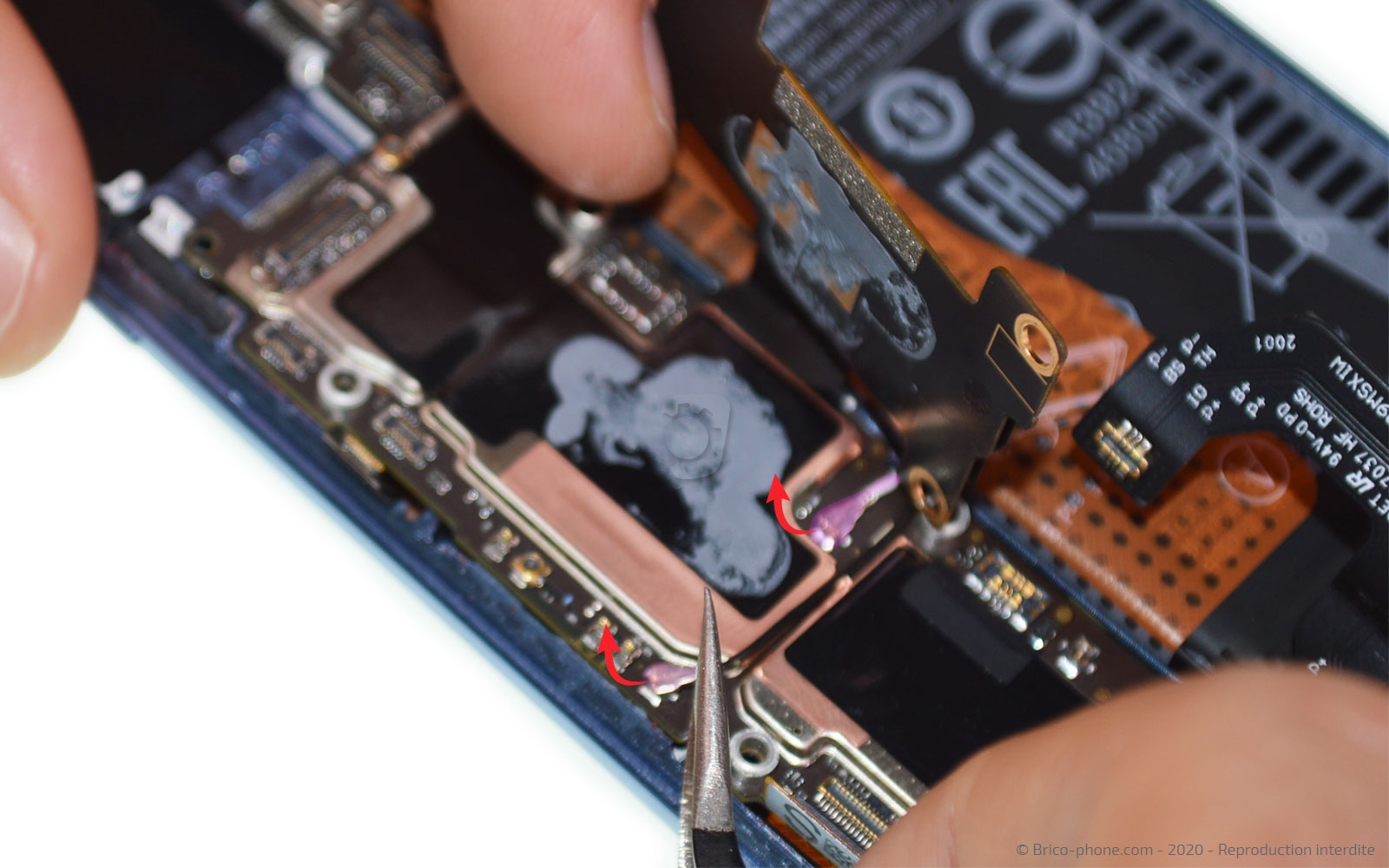 Démontage complet sur Mi 10 photo 1