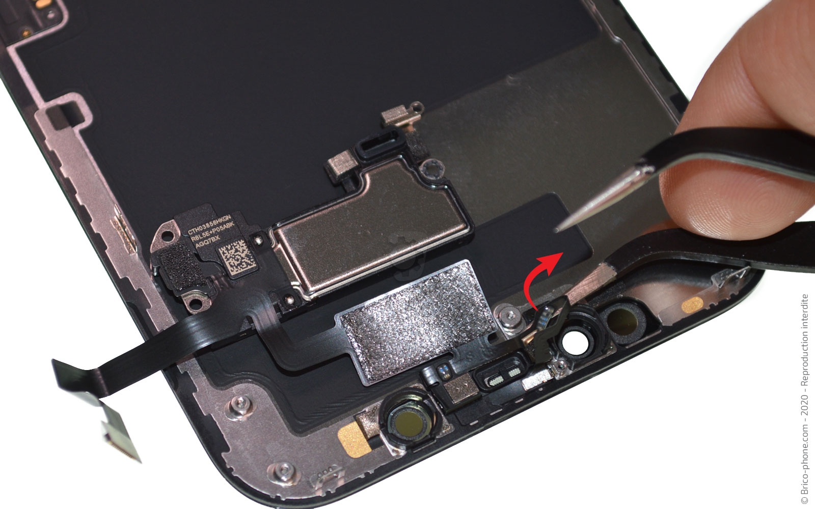 Changement de l'écran (vitre + Oled) sur iPhone 12 photo 1