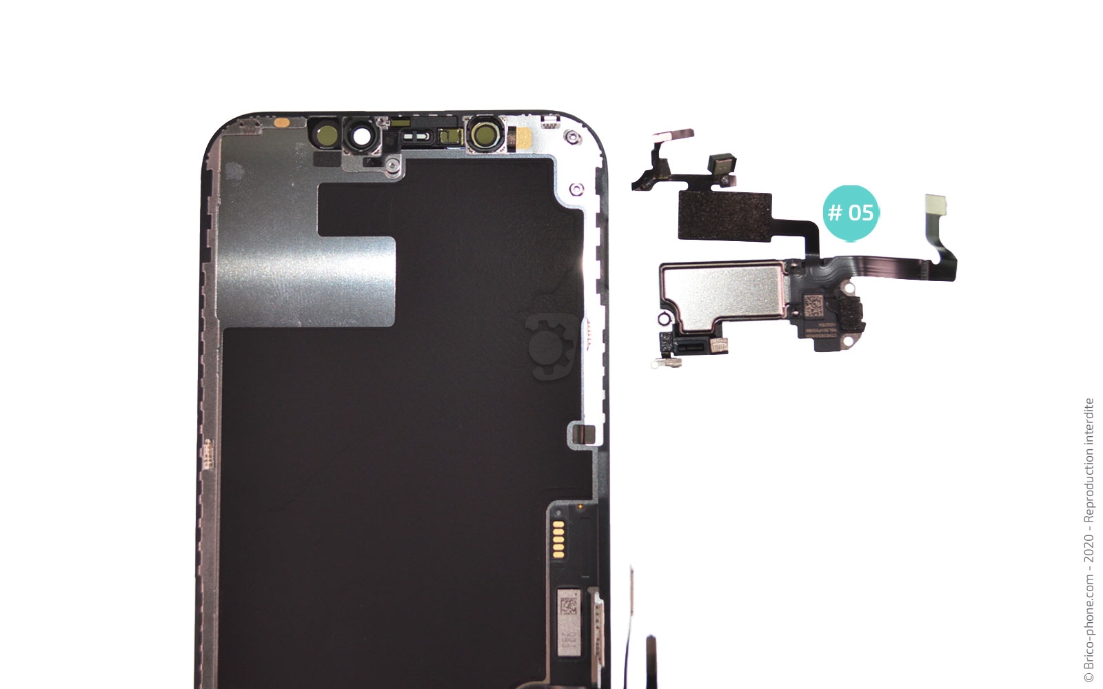 Changement de l'écran (vitre + Oled) sur iPhone 12 photo 4