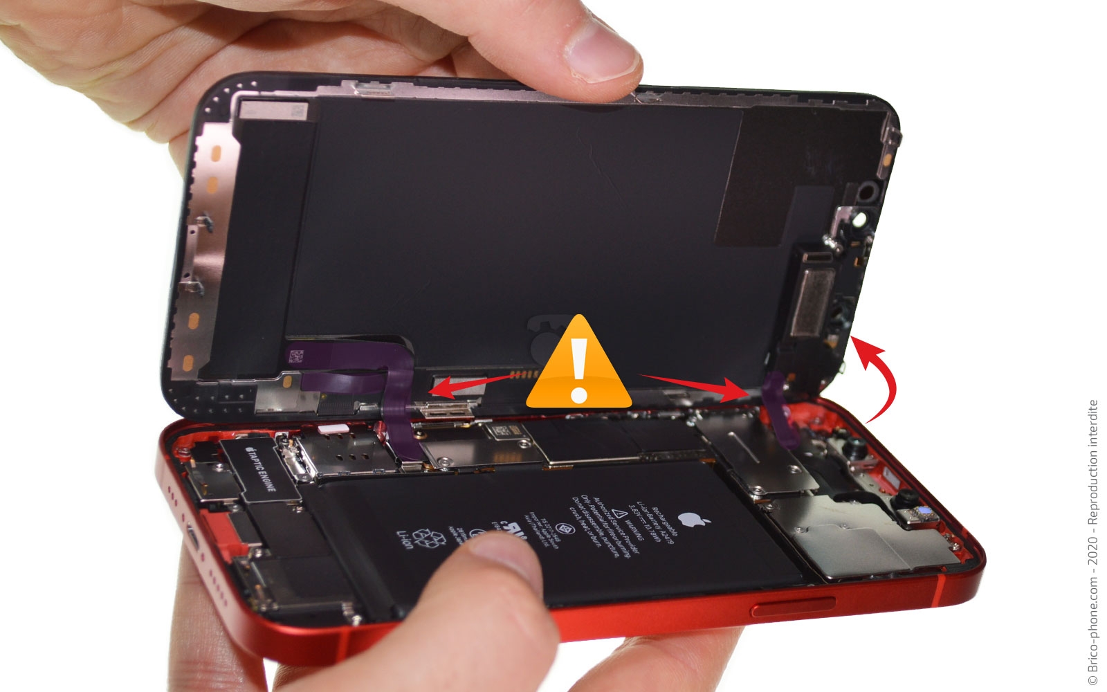 Changement de l'écran (vitre + Oled) sur iPhone 12 photo 2