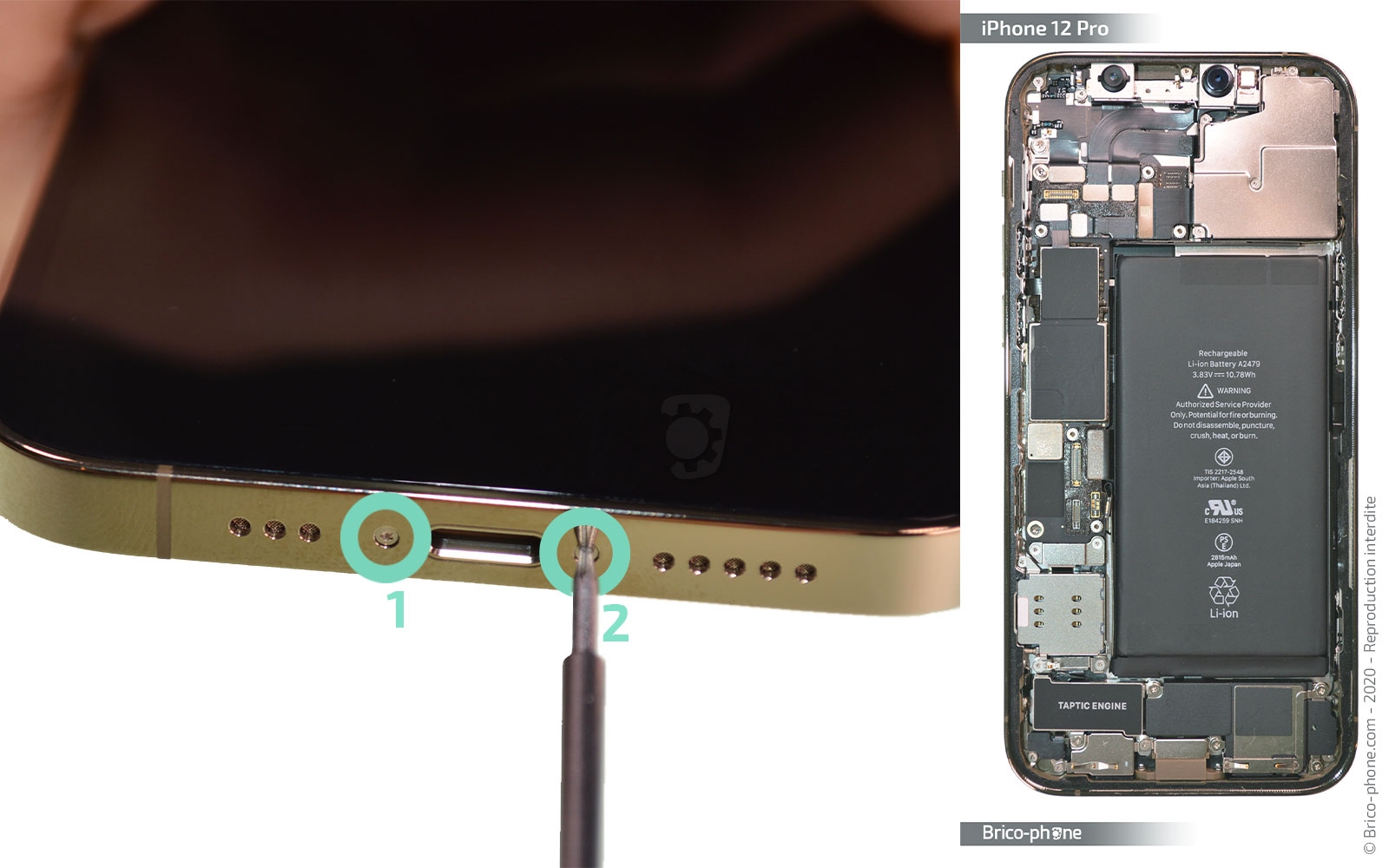 Changement de batterie sur iPhone 12 Pro photo 1