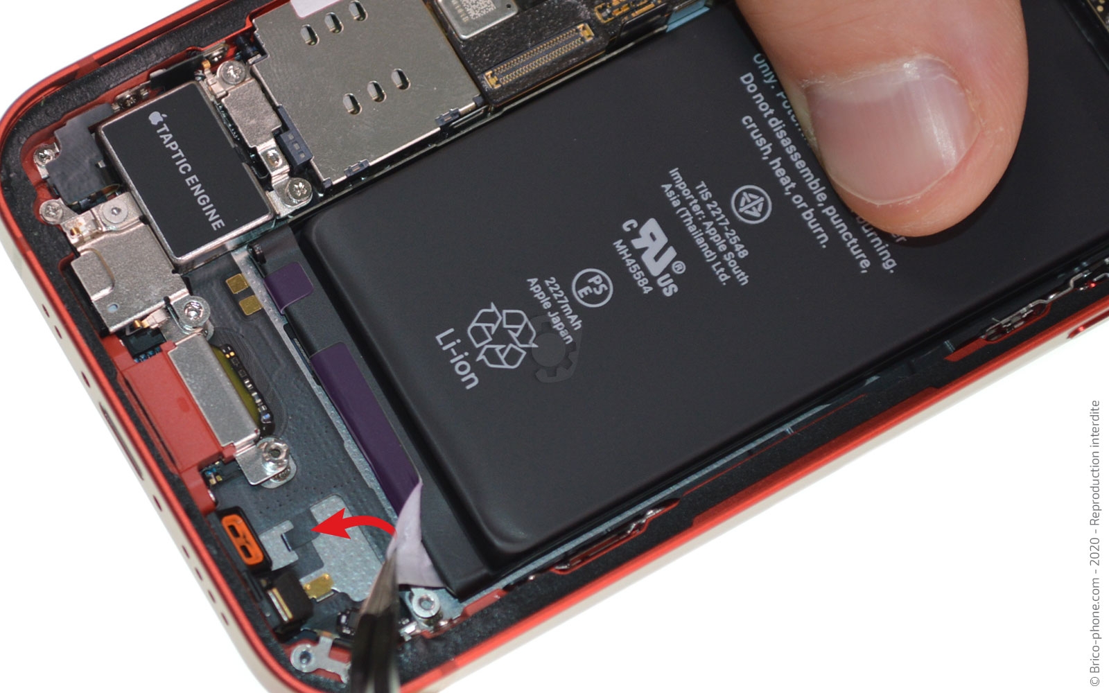 Changement de batterie sur iPhone 12 Mini photo 1