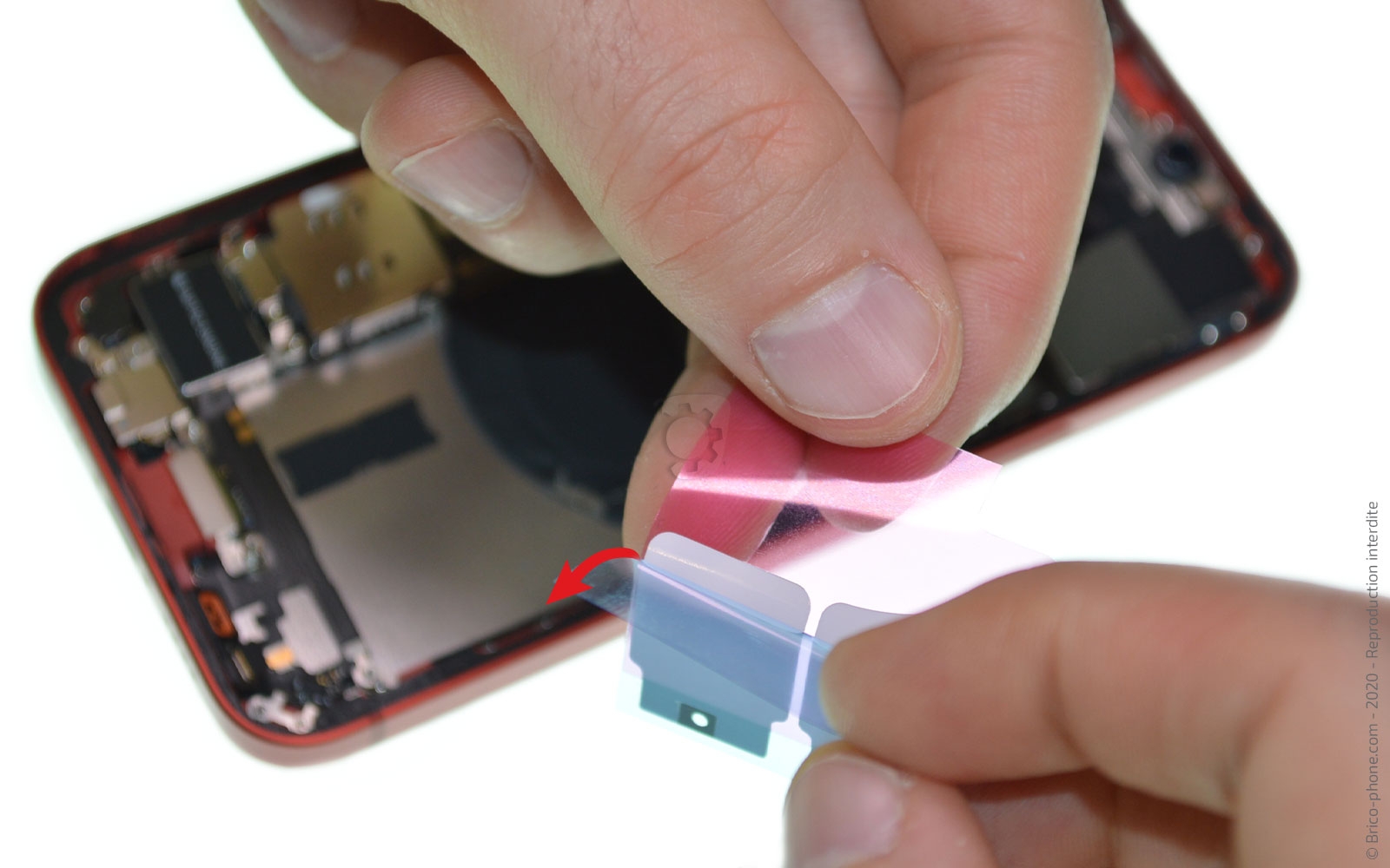 Changement de batterie sur iPhone 12 Mini photo 1