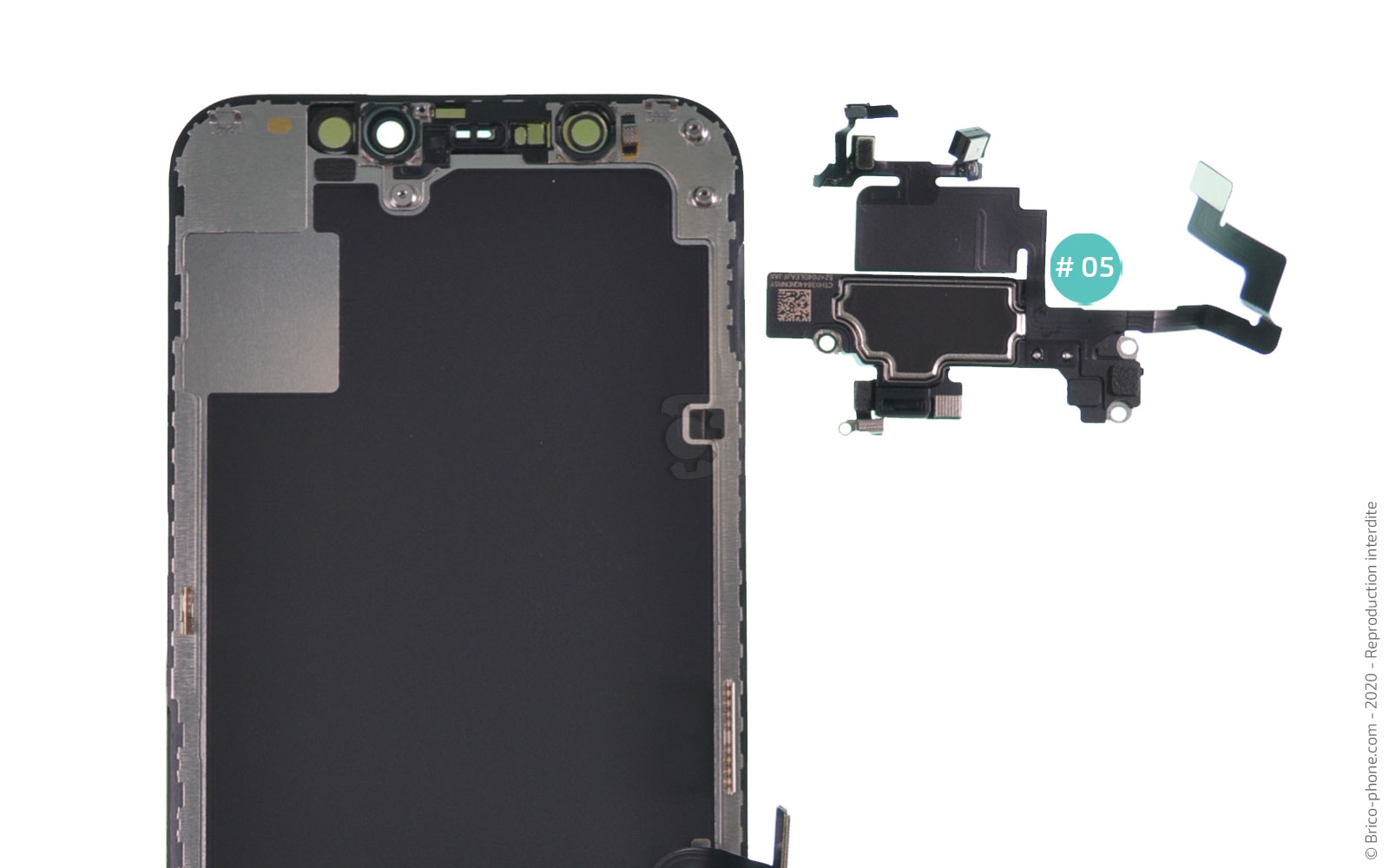 Changement de l'écran (vitre + Oled) sur iPhone 12 Mini photo 4