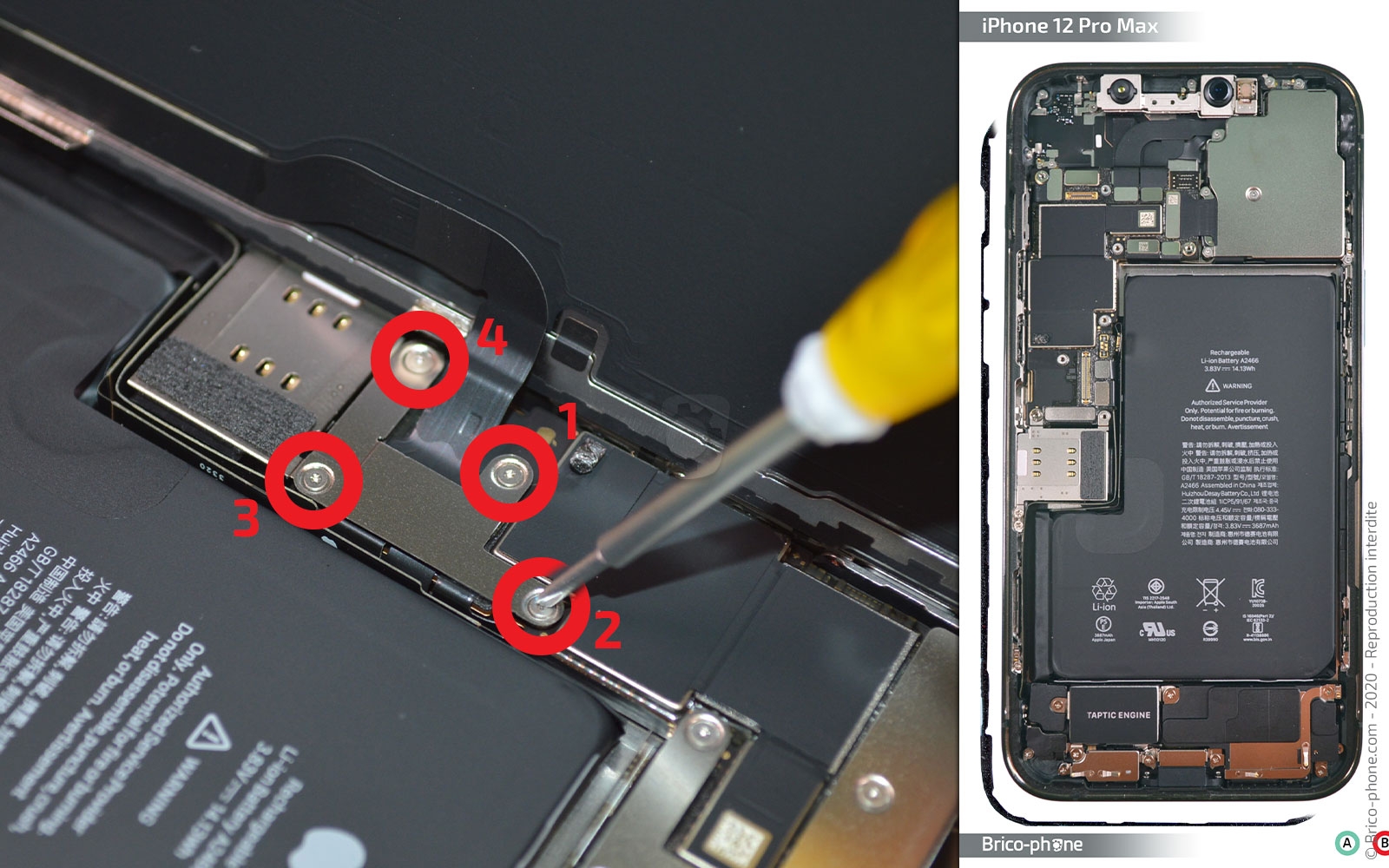 Changement de l'écran (vitre + Oled) sur iPhone 12 Pro Max photo 1