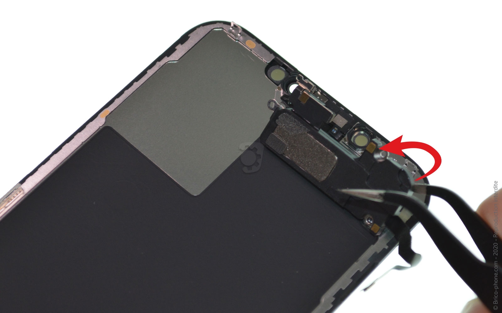 Changement de l'écran (vitre + Oled) sur iPhone 12 Pro Max photo 3